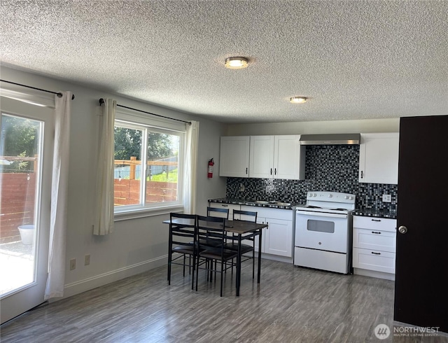 1017 Ballentine St, Raymond, WA 98577 - kitchen with dark countertops, white range with electric stovetop, dark wood-style floors, and tasteful backsplash
