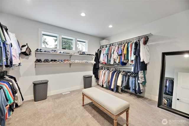 walk in closet with carpet flooring