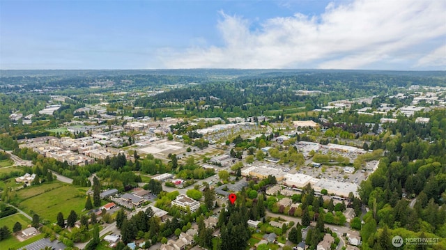 bird's eye view