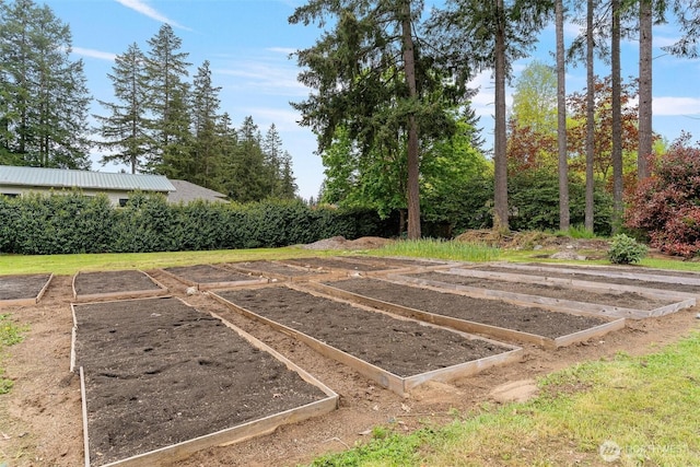 view of yard with a garden