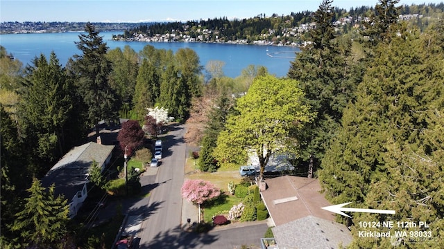 drone / aerial view featuring a water view