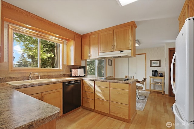 kitchen featuring a peninsula, under cabinet range hood, a sink, light wood-style flooring, and black appliances