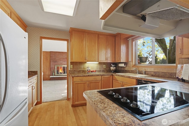 kitchen with tasteful backsplash, black electric cooktop, a sink, freestanding refrigerator, and light wood-style flooring