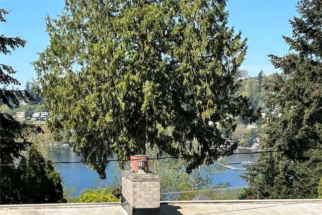 view of water feature