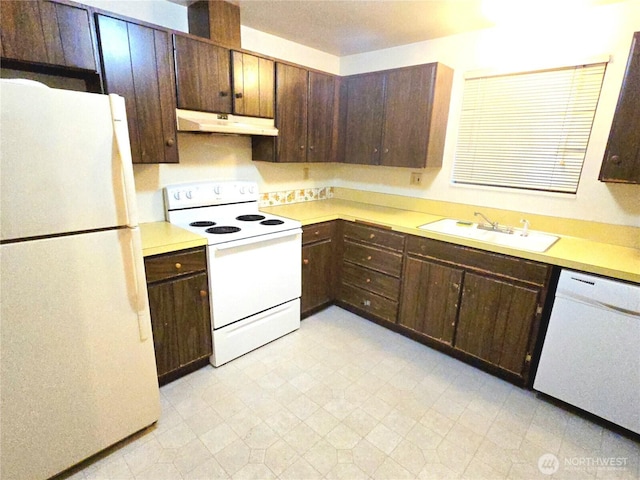 kitchen with dark brown cabinetry, a sink, light countertops, under cabinet range hood, and white appliances
