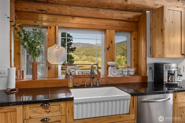 kitchen with stainless steel dishwasher, a sink, dark countertops, and a mountain view