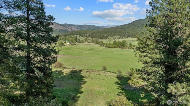 mountain view