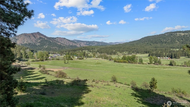 view of mountain backdrop with a forest