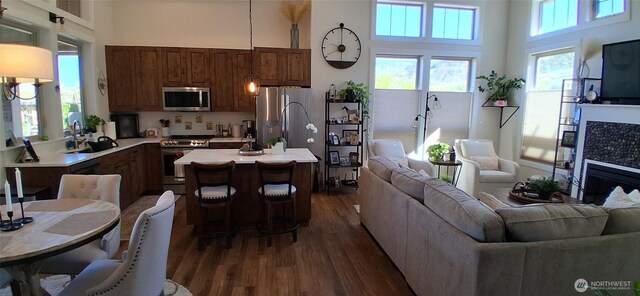living room with a fireplace, dark wood finished floors, and a towering ceiling