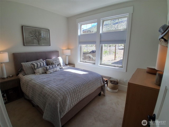 130 Village Way, Oroville, WA 98844 - photo 17