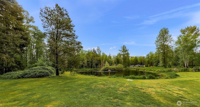 view of yard with a water view and a view of trees