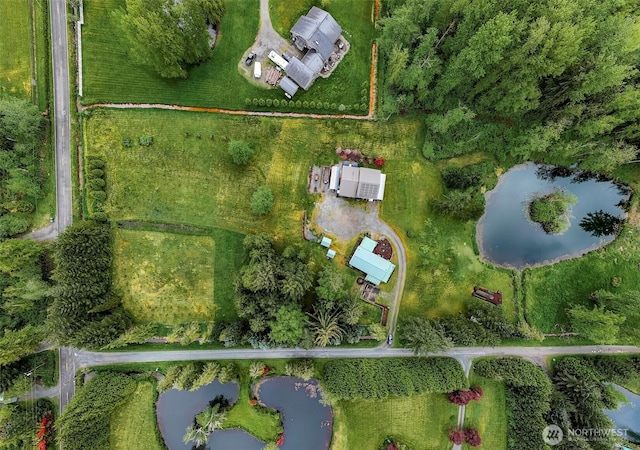 drone / aerial view