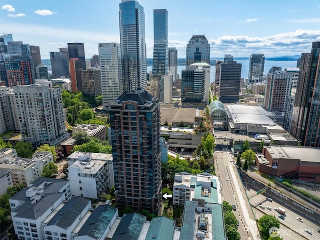 1420 Terry Ave Unit 603, Seattle, WA 98101 - skyline view