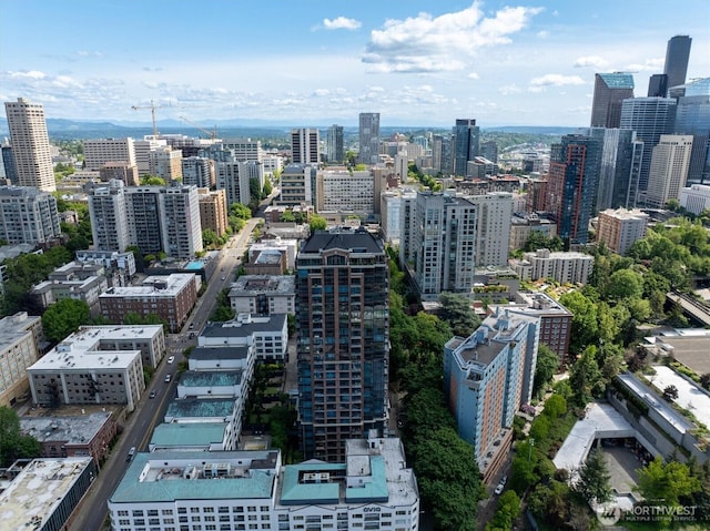 1420 Terry Ave Unit 603, Seattle, WA 98101 - view of urban area