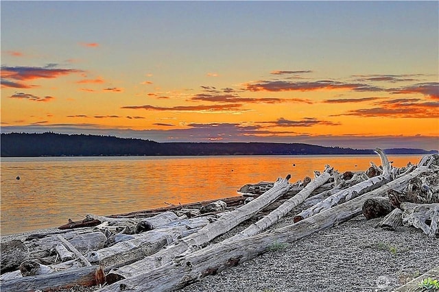 1892 Cascade View Dr, Camano Island, WA 98282 - view of water feature