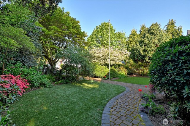 view of green lawn