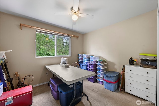 office space featuring baseboards, carpet, and a ceiling fan
