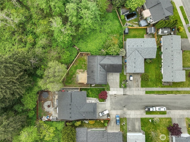 drone / aerial view
