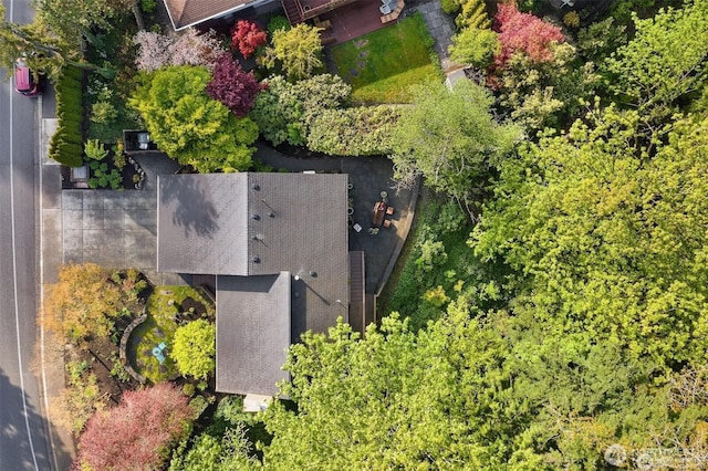 aerial view