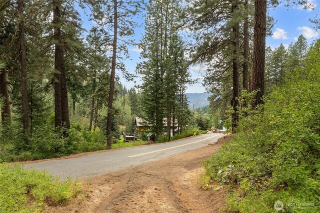 3081 Liberty Rd, Cle Elum, WA 98922 - photo 24