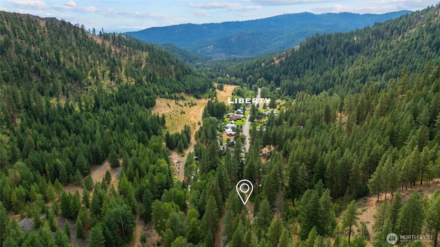 3081 Liberty Rd, Cle Elum, WA 98922 - photo 28