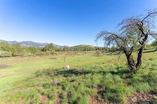 view of nature featuring a rural view and a mountain view