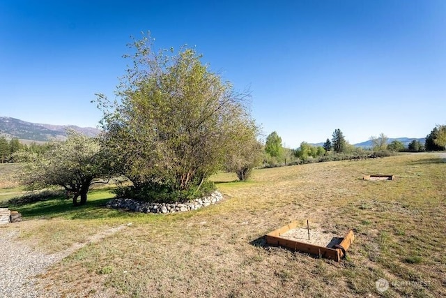 view of yard featuring a mountain view