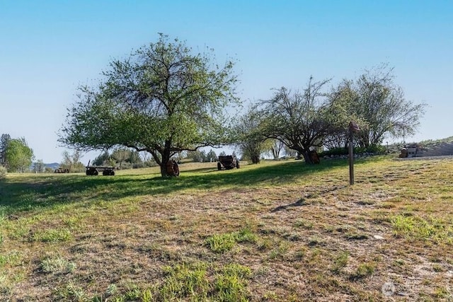 view of yard with a rural view