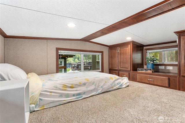 990 S Lake Whatcom Blvd Unit 9, Sedro Woolley, WA 98284 - carpeted bedroom featuring crown molding, recessed lighting, lofted ceiling, and multiple windows