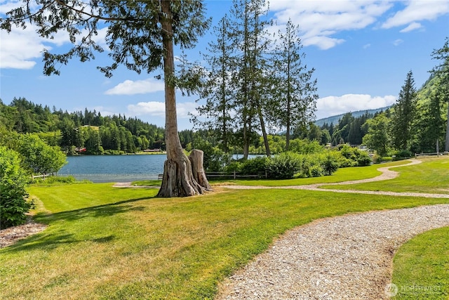 990 S Lake Whatcom Blvd Unit 9, Sedro Woolley, WA 98284 - view of home's community featuring a lawn, a water view, and a view of trees