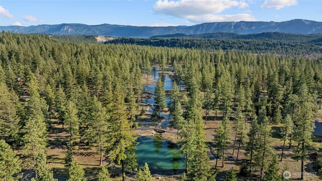 drone / aerial view with a water and mountain view and a view of trees