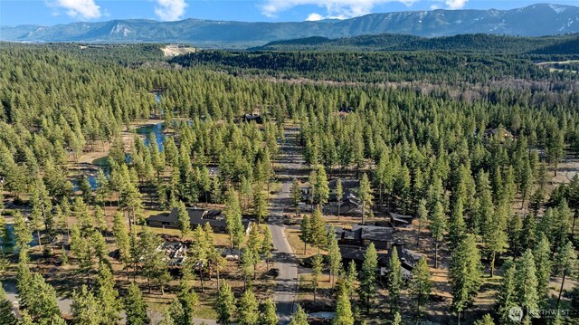 drone / aerial view with a wooded view and a mountain view