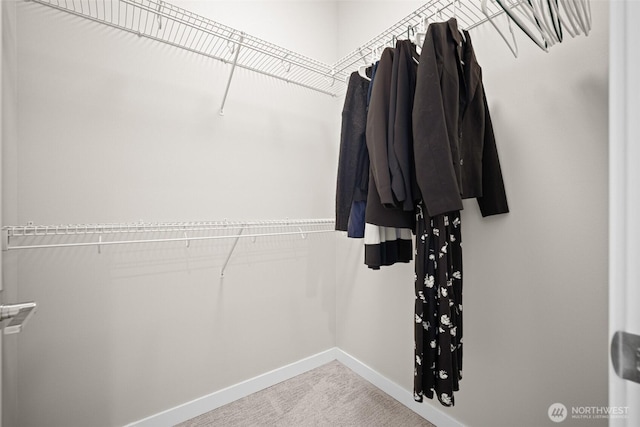 4818 Springside St, Bellingham, WA 98226 - walk in closet with carpet
