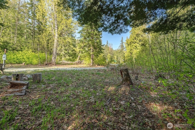 16793 Fir Dr, Leavenworth, WA 98826 - photo 1