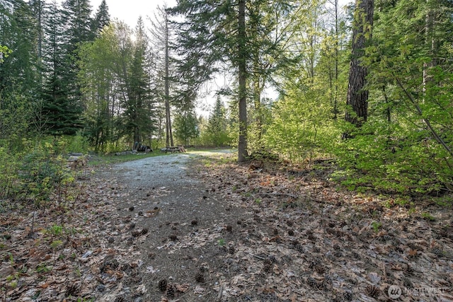 16793 Fir Dr, Leavenworth, WA 98826 - photo 3