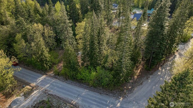 16793 Fir Dr, Leavenworth, WA 98826 - photo 7