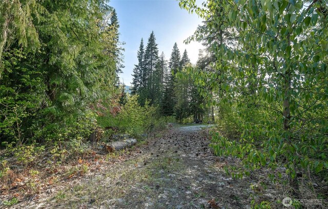 16793 Fir Dr, Leavenworth, WA 98826 - photo 10