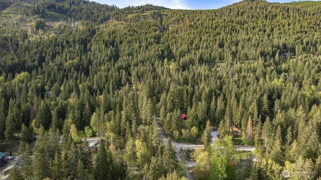 16793 Fir Dr, Leavenworth, WA 98826 - photo 12