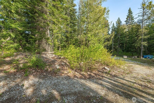 16793 Fir Dr, Leavenworth, WA 98826 - photo 14