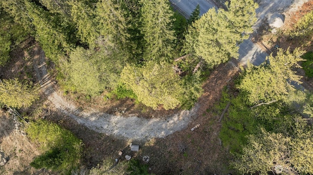 16793 Fir Dr, Leavenworth, WA 98826 - photo 16