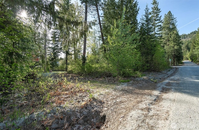 16793 Fir Dr, Leavenworth, WA 98826 - photo 17