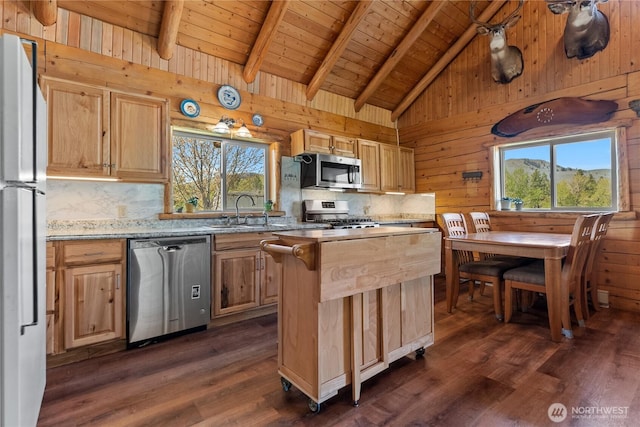kitchen featuring a sink, wood ceiling, stainless steel appliances, and dark wood finished floors