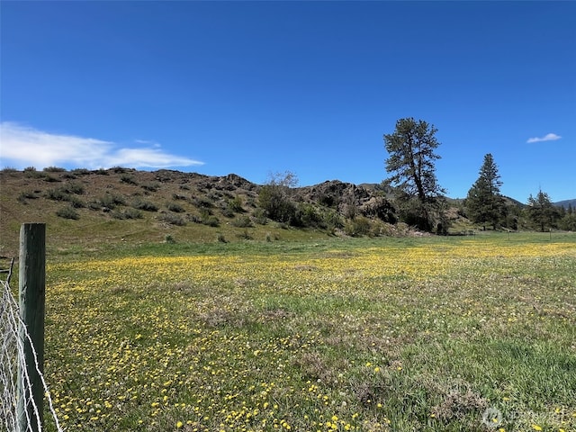 364 E Chewuch Rd, Winthrop, WA 98862 - view of mountain background with rural landscape