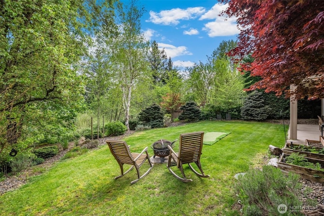 view of yard with an outdoor fire pit
