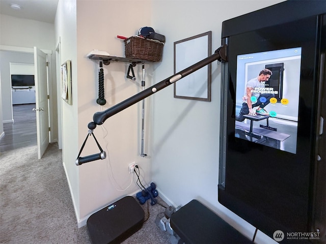 118 Woodview Ln, Napavine, WA 98596 - exercise room with baseboards and carpet flooring