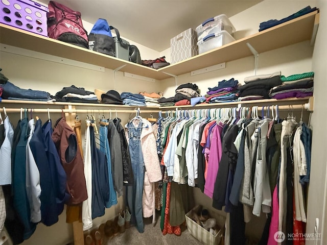 118 Woodview Ln, Napavine, WA 98596 - walk in closet with carpet floors