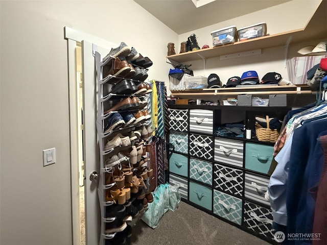 118 Woodview Ln, Napavine, WA 98596 - spacious closet featuring carpet floors