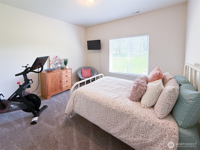 118 Woodview Ln, Napavine, WA 98596 - bedroom featuring visible vents and light carpet