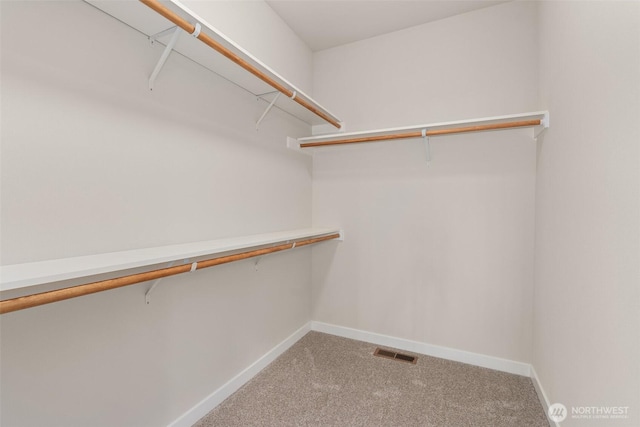 spacious closet with visible vents and carpet floors