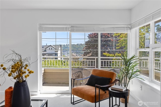 sunroom featuring carpet floors and a wealth of natural light